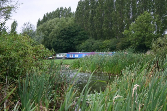  Disfruta del campo en uno de nuestros barcos